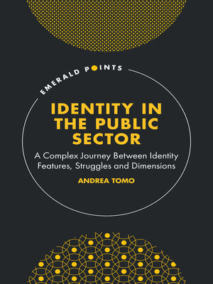 cover image of Identity in the Public Sector